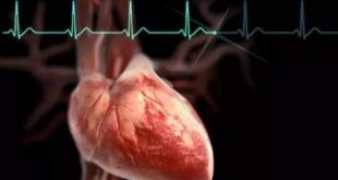 Aplikasi Pendeteksi Detak Jantung Janin