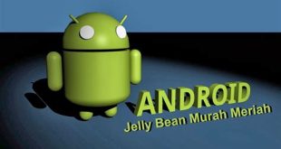HP Android Jelly Bean Murah