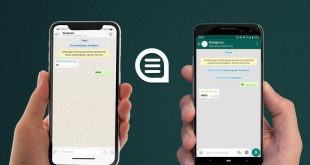 Mengarsipkan Chat WhatsApp di Android