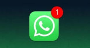 Mengembalikan Chat WhatsApp Android ke iPhone