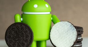 Smartphone Android Oreo 4G Murah