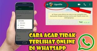 aplikasi wa yang tidak terlihat online