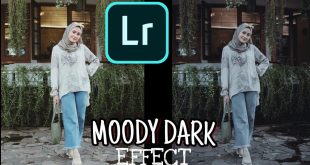 cara mengembalikan preset lightroom yang hilang di android