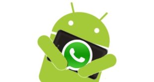 cara menggunakan whatsapp di android