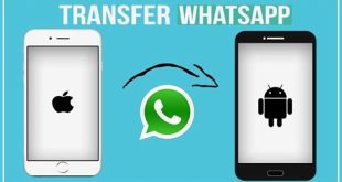 pemindahan data WhatsApp Android ke iPhone